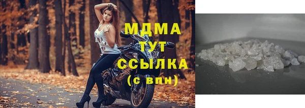 стаф Алексин