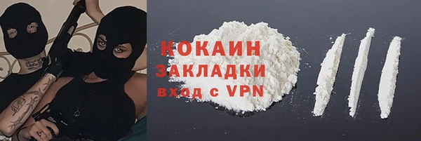 стаф Алексин
