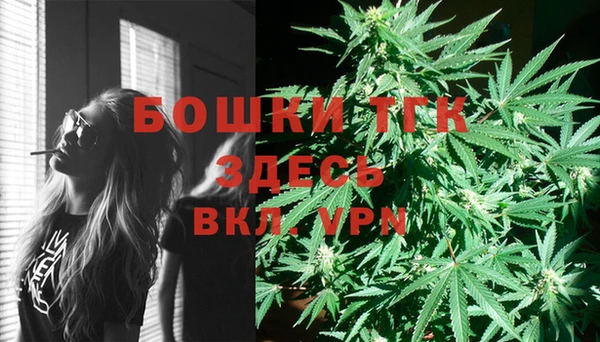 стаф Алексин